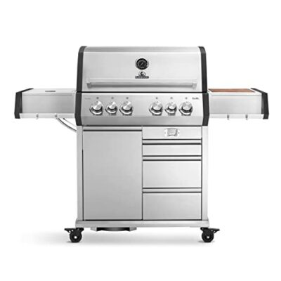 burnhard 4 brenner gasgrill earl 23kw edelstahl grillwagen mit heckbrenner